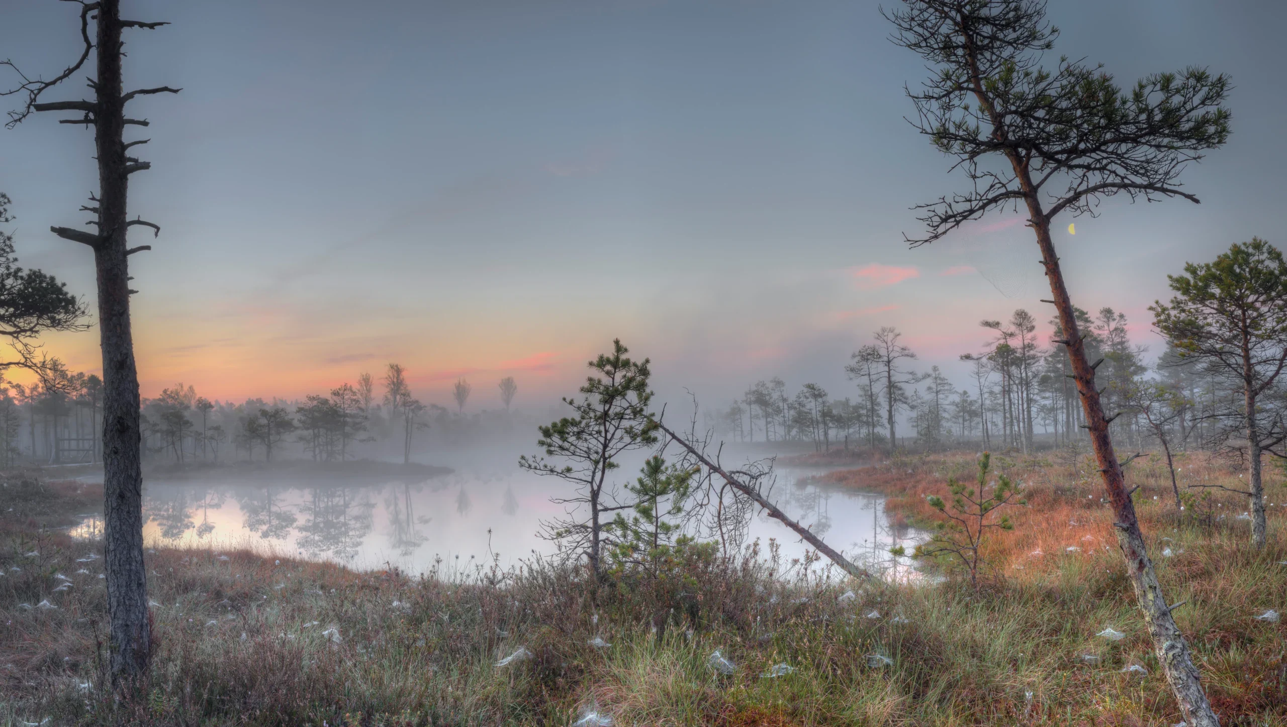 AdobeStock_205281924