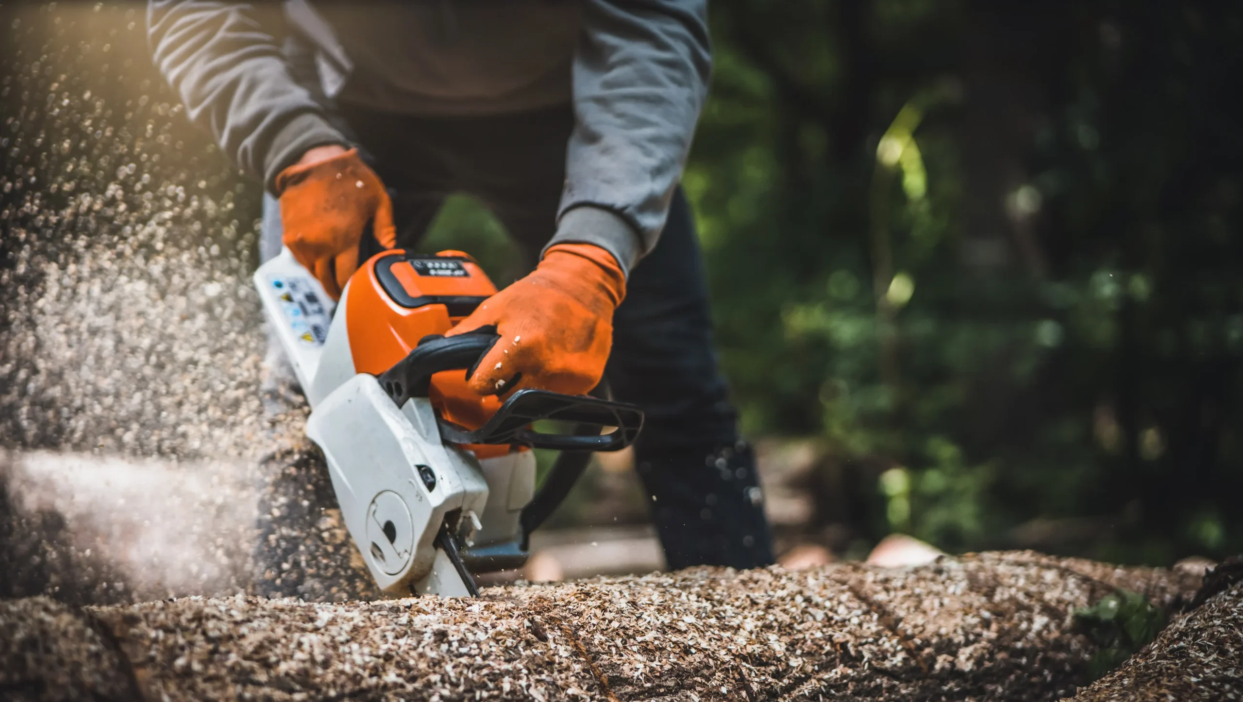 AdobeStock_506693190